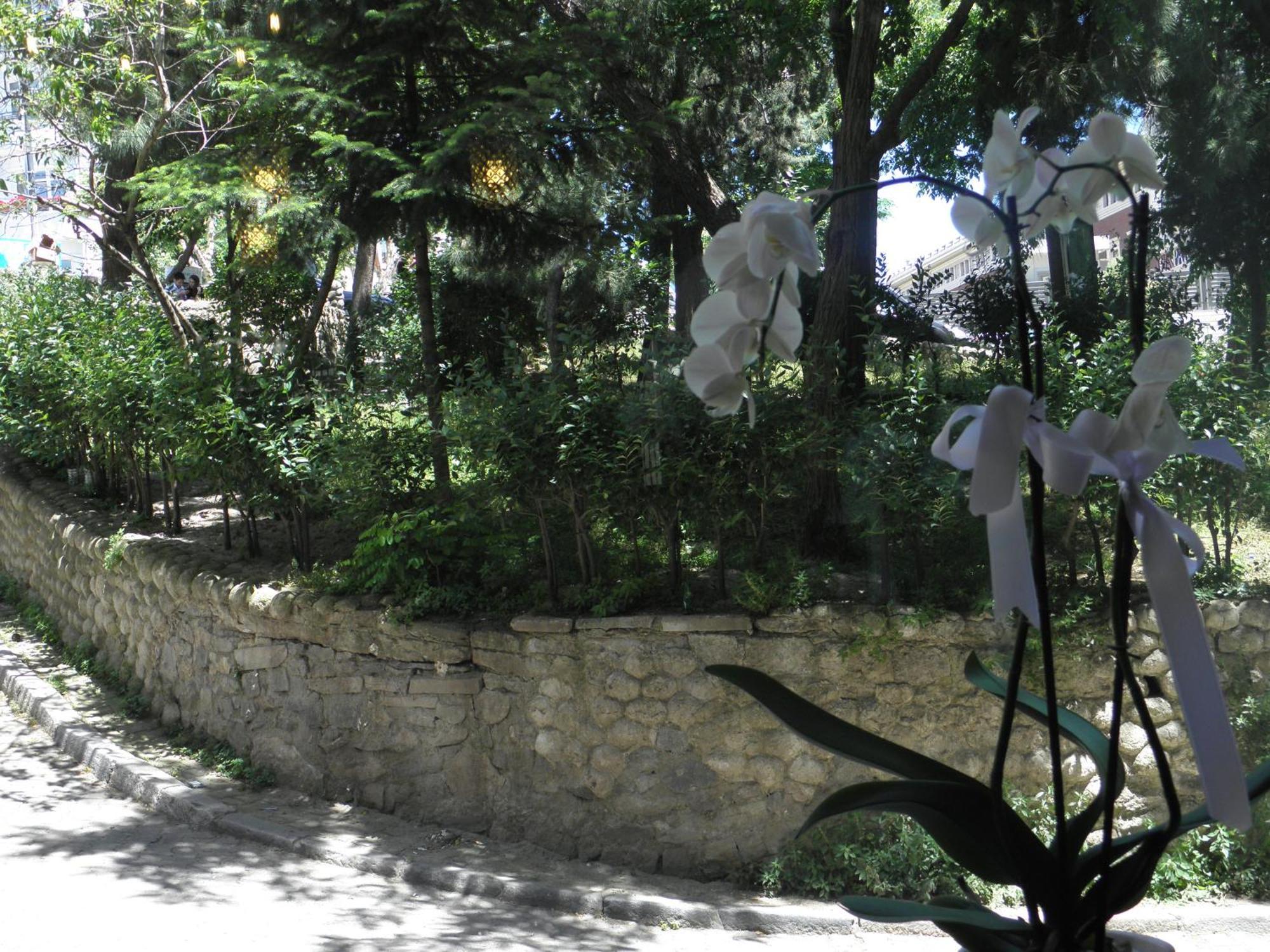 Omar Sultan Park Suites Istanbul Eksteriør billede